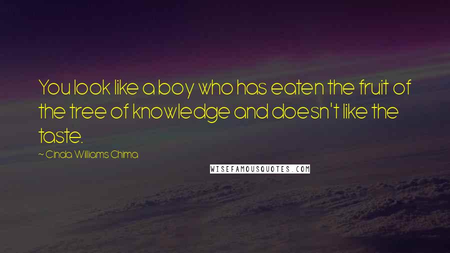 Cinda Williams Chima quotes: You look like a boy who has eaten the fruit of the tree of knowledge and doesn't like the taste.