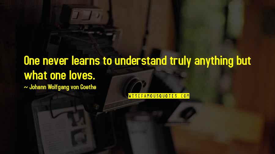 Cinderella 2025 Quotes By Johann Wolfgang Von Goethe: One never learns to understand truly anything but Cinderella 2025 Quotes By Johann Wolfgang Von Goethe: One never learns to understand truly anything but