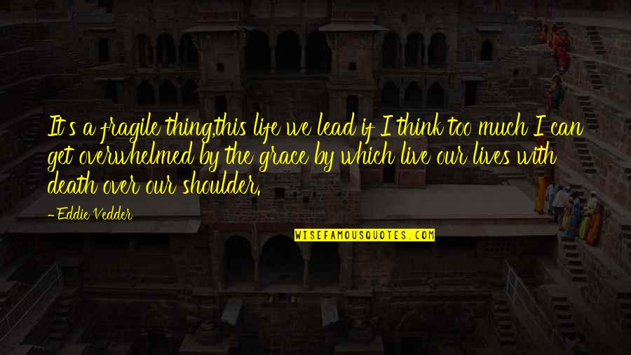 Cinderella S Fairy Quotes By Eddie Vedder: It's a fragile thing,this life we lead if Cinderella S Fairy Quotes By Eddie Vedder: It's a fragile thing,this life we lead if