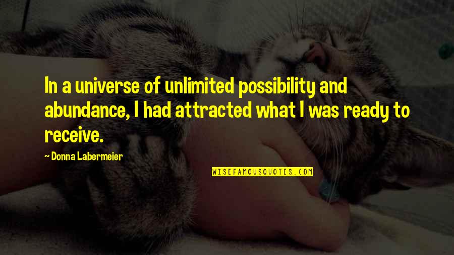 Cinderella Stepmother Quotes By Donna Labermeier: In a universe of unlimited possibility and abundance,