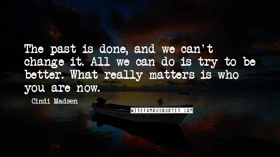 Cindi Madsen quotes: The past is done, and we can't change it. All we can do is try to be better. What really matters is who you are now.