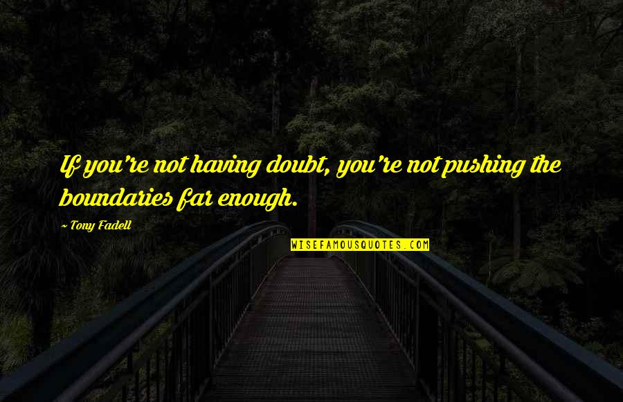 Cindia De La Quotes By Tony Fadell: If you're not having doubt, you're not pushing