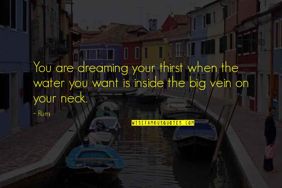 Cindy Gallop Quotes By Rumi: You are dreaming your thirst when the water