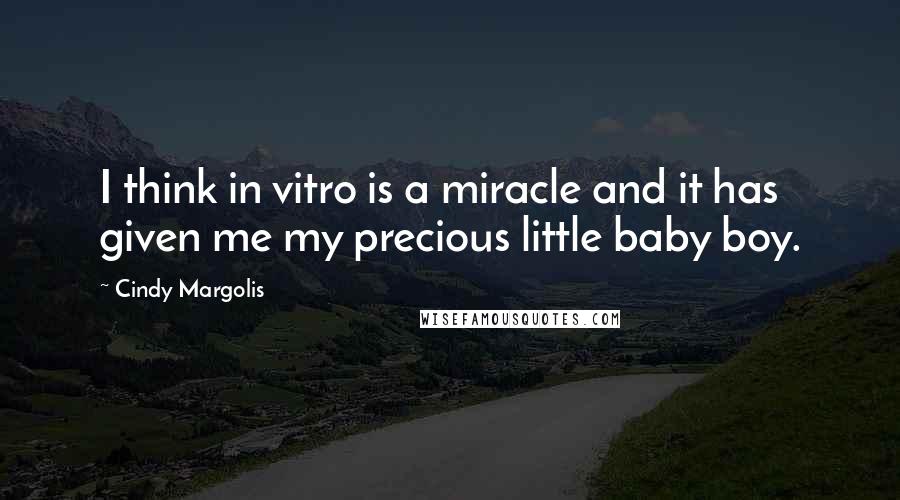 Cindy Margolis quotes: I think in vitro is a miracle and it has given me my precious little baby boy.