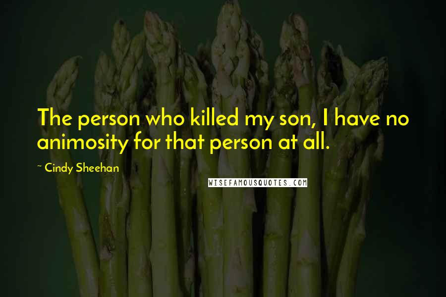 Cindy Sheehan quotes: The person who killed my son, I have no animosity for that person at all.