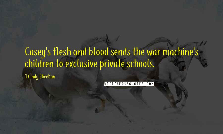 Cindy Sheehan quotes: Casey's flesh and blood sends the war machine's children to exclusive private schools.