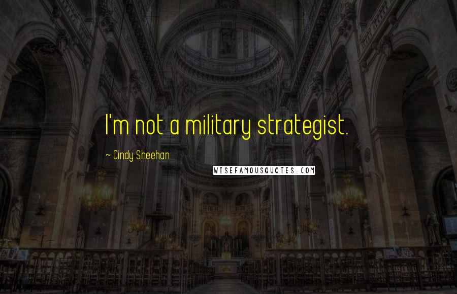 Cindy Sheehan quotes: I'm not a military strategist.
