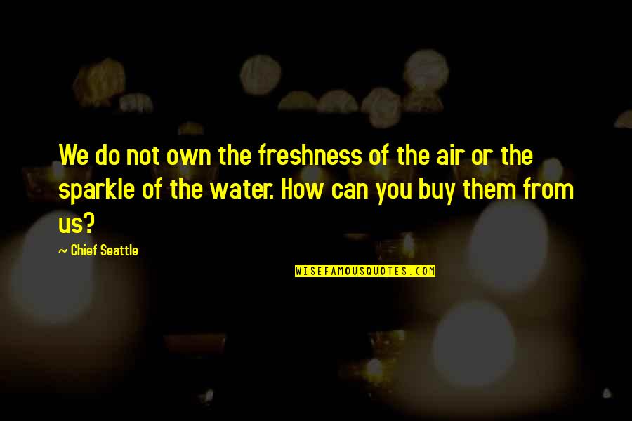 Cinematographer Style Quotes By Chief Seattle: We do not own the freshness of the