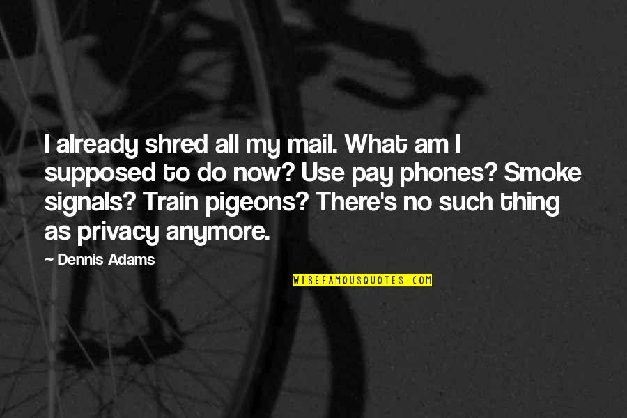 Cinematographically Quotes By Dennis Adams: I already shred all my mail. What am