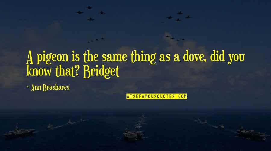 Cingarita Quotes By Ann Brashares: A pigeon is the same thing as a