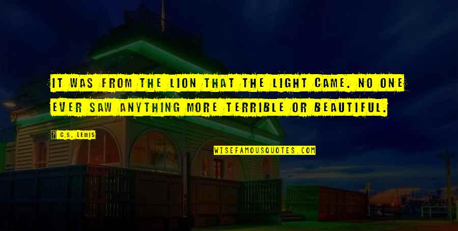 Cingolani Cingolani Quotes By C.S. Lewis: It was from the Lion that the light