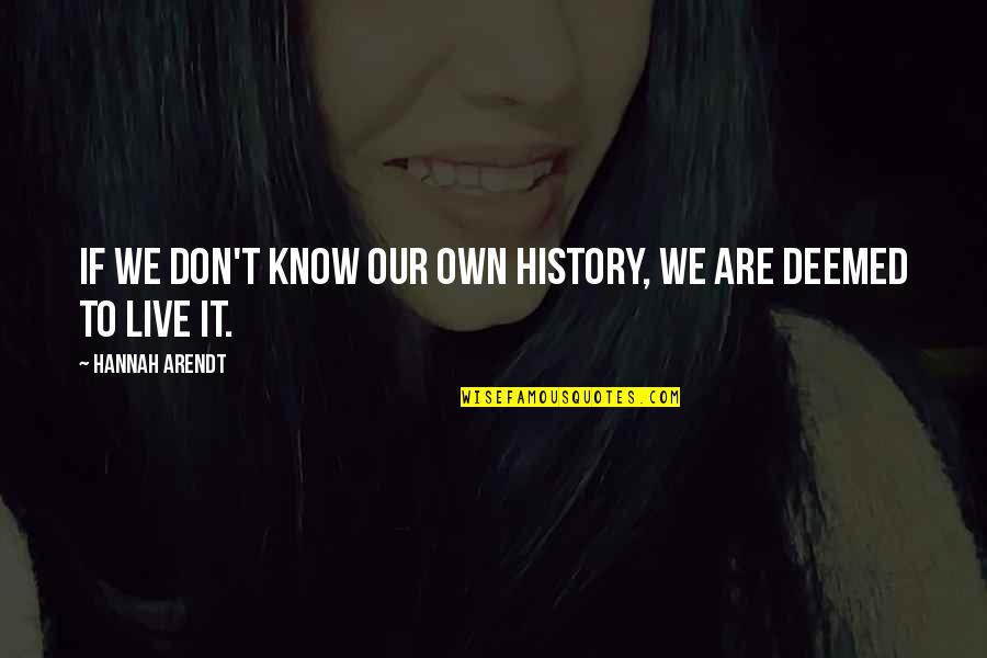 Cinii Japan Quotes By Hannah Arendt: If we don't know our own history, we