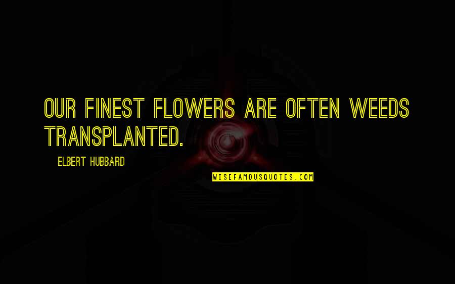 Cinnamon Candy Quotes By Elbert Hubbard: Our finest flowers are often weeds transplanted. Cinnamon Candy Quotes By Elbert Hubbard: Our finest flowers are often weeds transplanted.