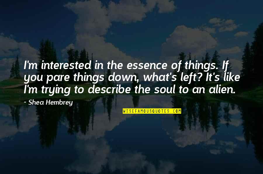 Cinquegrana Mosaic Quotes By Shea Hembrey: I'm interested in the essence of things. If Cinquegrana Mosaic Quotes By Shea Hembrey: I'm interested in the essence of things. If