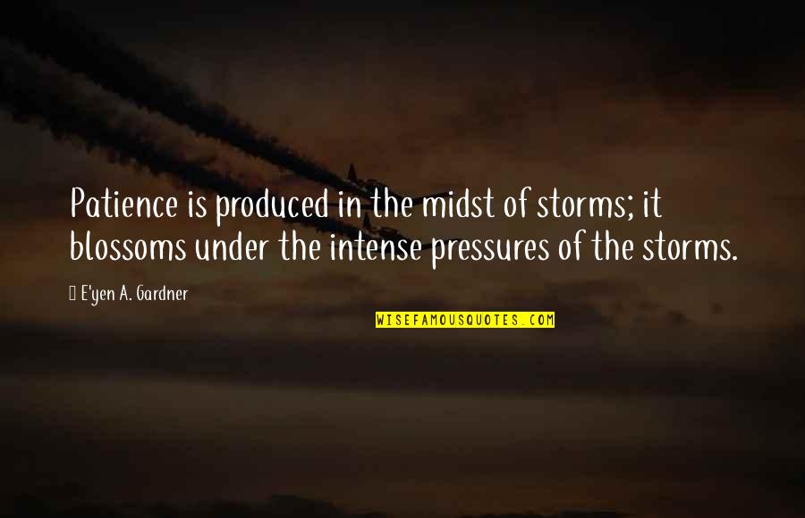 Cinthia Lopez Quotes By E'yen A. Gardner: Patience is produced in the midst of storms; Cinthia Lopez Quotes By E'yen A. Gardner: Patience is produced in the midst of storms;