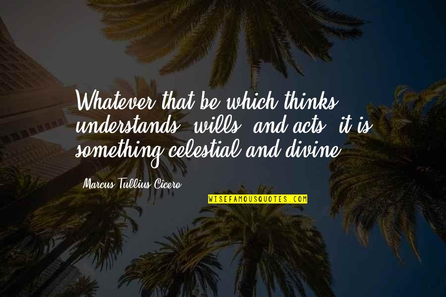 Ciocolata Alba Quotes By Marcus Tullius Cicero: Whatever that be which thinks, understands, wills, and Ciocolata Alba Quotes By Marcus Tullius Cicero: Whatever that be which thinks, understands, wills, and