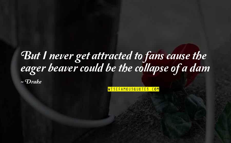 Cipandrol Quotes By Drake: But I never get attracted to fans cause