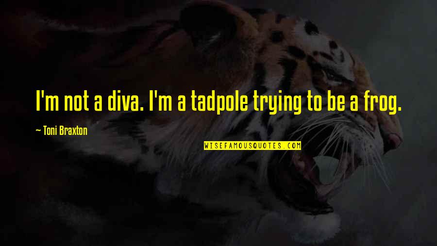 Cipolla Lehmer Quotes By Toni Braxton: I'm not a diva. I'm a tadpole trying
