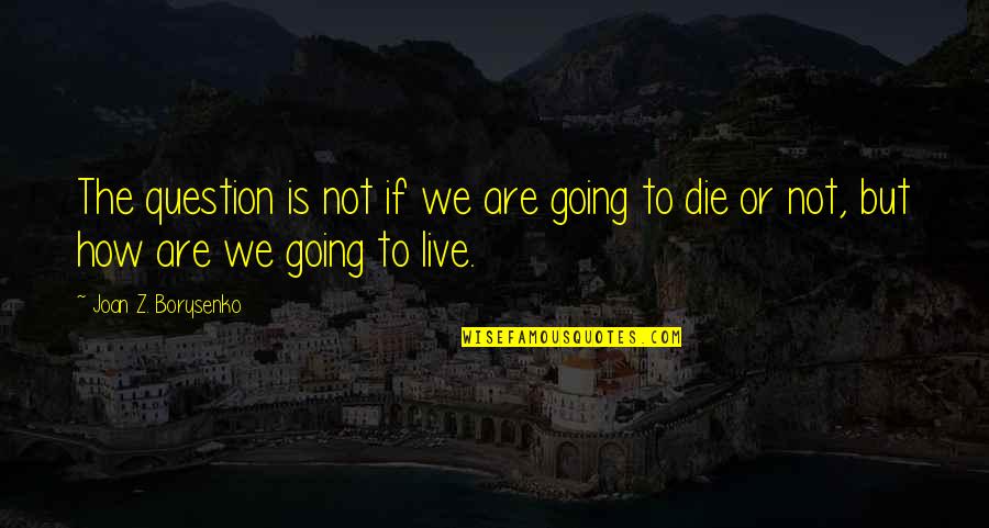Circassian Quotes By Joan Z. Borysenko: The question is not if we are going