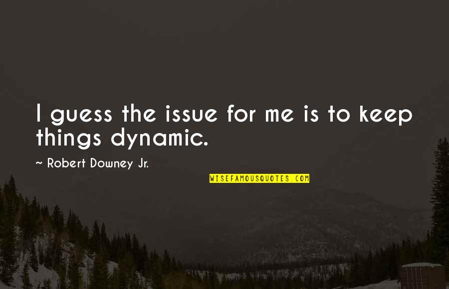 Circiut Quotes By Robert Downey Jr.: I guess the issue for me is to