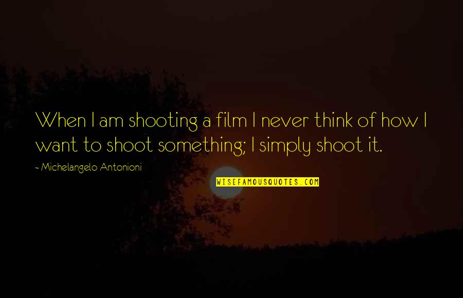 Circumfusion Quotes By Michelangelo Antonioni: When I am shooting a film I never