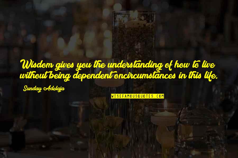 Circumstances In Life Quotes By Sunday Adelaja: Wisdom gives you the understanding of how to