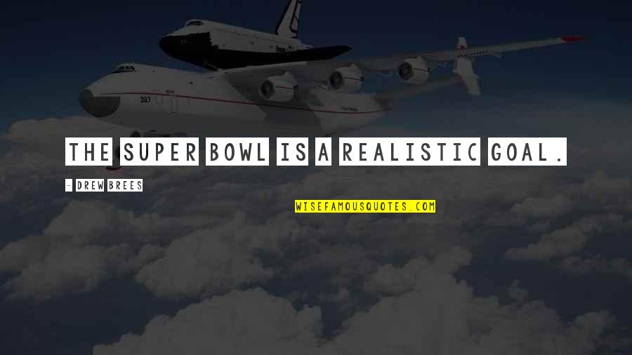 Circunstancia Quotes By Drew Brees: The Super Bowl is a realistic goal.