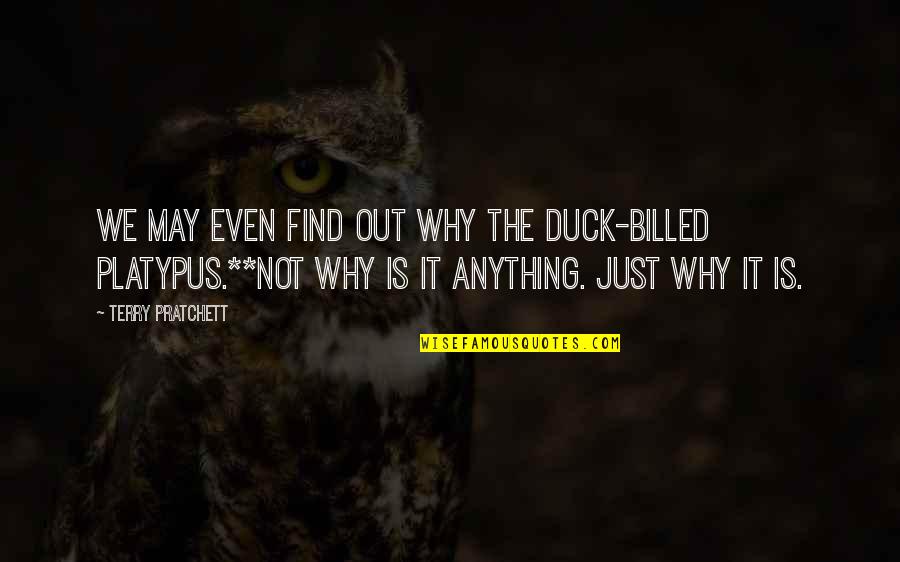Cirios Del Quotes By Terry Pratchett: We may even find out why the duck-billed Cirios Del Quotes By Terry Pratchett: We may even find out why the duck-billed