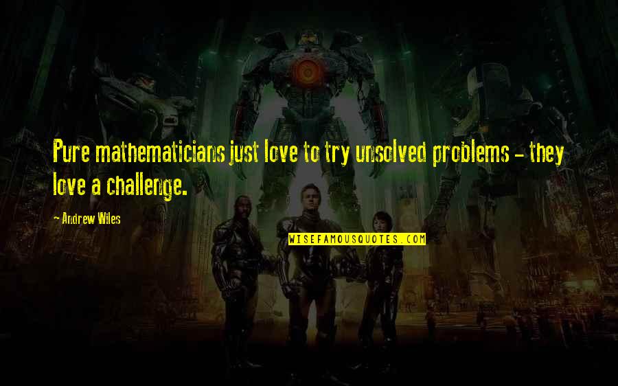 Ciro Totku Quotes By Andrew Wiles: Pure mathematicians just love to try unsolved problems