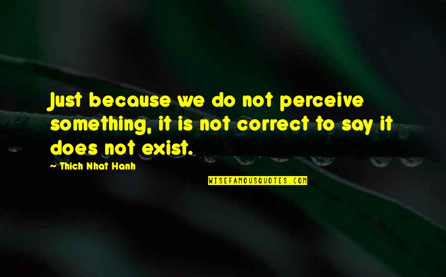 Cirque Du Soleil Inspirational Quotes By Thich Nhat Hanh: Just because we do not perceive something, it