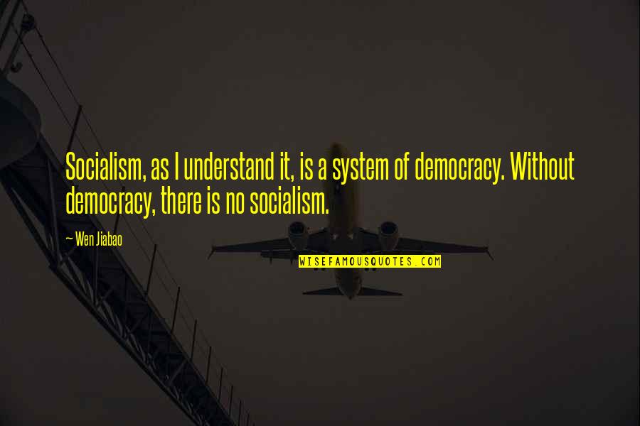 Cirrus Quotes By Wen Jiabao: Socialism, as I understand it, is a system