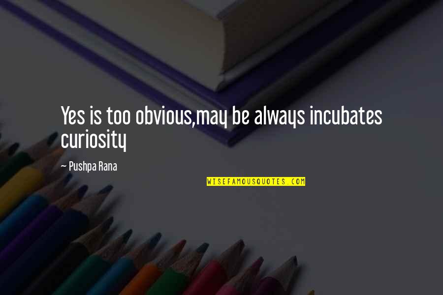 Cirumstances Quotes By Pushpa Rana: Yes is too obvious,may be always incubates curiosity