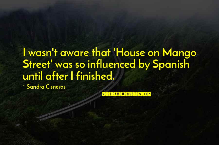 Cisneros Quotes By Sandra Cisneros: I wasn't aware that 'House on Mango Street'