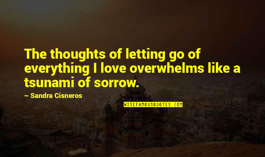 Cisneros Quotes By Sandra Cisneros: The thoughts of letting go of everything I