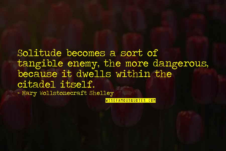 Citadel The Quotes By Mary Wollstonecraft Shelley: Solitude becomes a sort of tangible enemy, the Citadel The Quotes By Mary Wollstonecraft Shelley: Solitude becomes a sort of tangible enemy, the