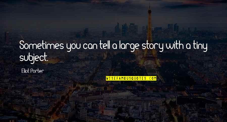 Citalopram Quotes By Eliot Porter: Sometimes you can tell a large story with Citalopram Quotes By Eliot Porter: Sometimes you can tell a large story with