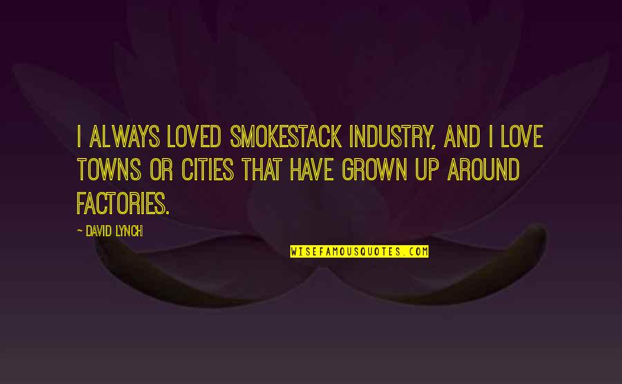Cities And Towns Quotes By David Lynch: I always loved smokestack industry, and I love