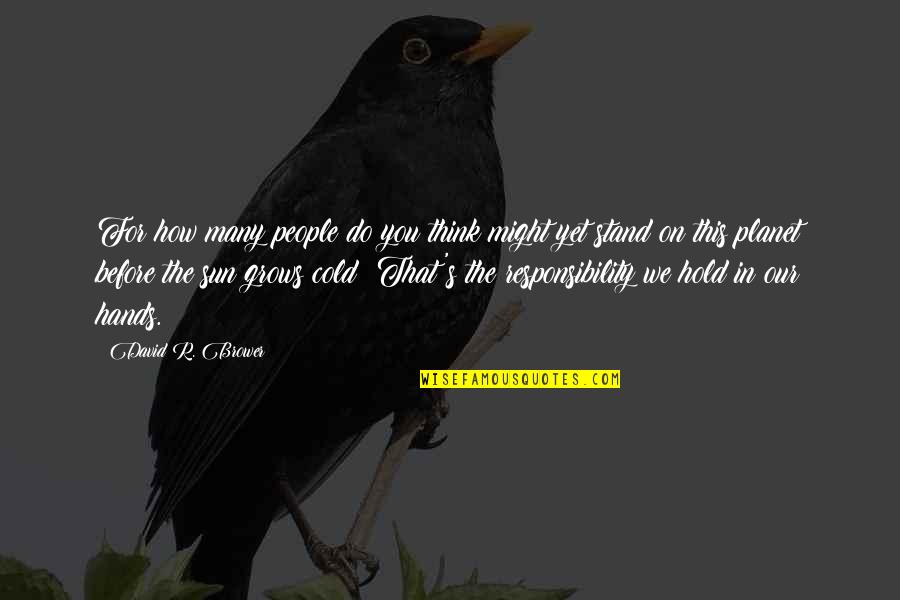Citium Blue Quotes By David R. Brower: For how many people do you think might