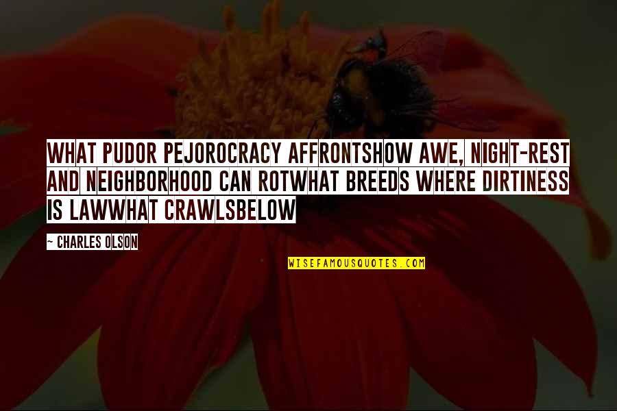 Citizen Koch Quotes By Charles Olson: What pudor pejorocracy affrontshow awe, night-rest and neighborhood