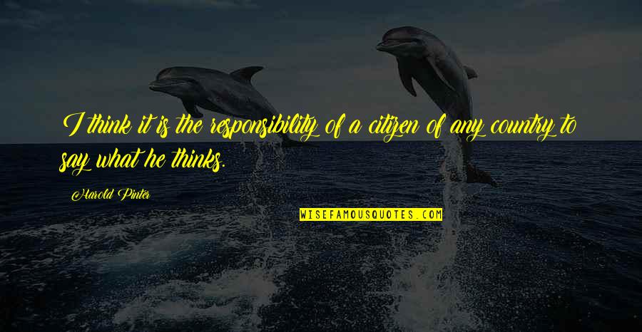 Citizen Responsibility Quotes By Harold Pinter: I think it is the responsibility of a