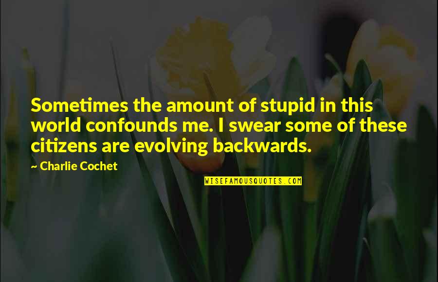 Citizens Quotes By Charlie Cochet: Sometimes the amount of stupid in this world