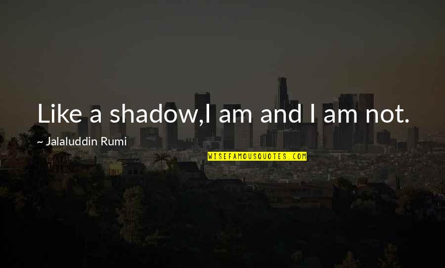 Citizenship Ceremony Quotes By Jalaluddin Rumi: Like a shadow,I am and I am not.