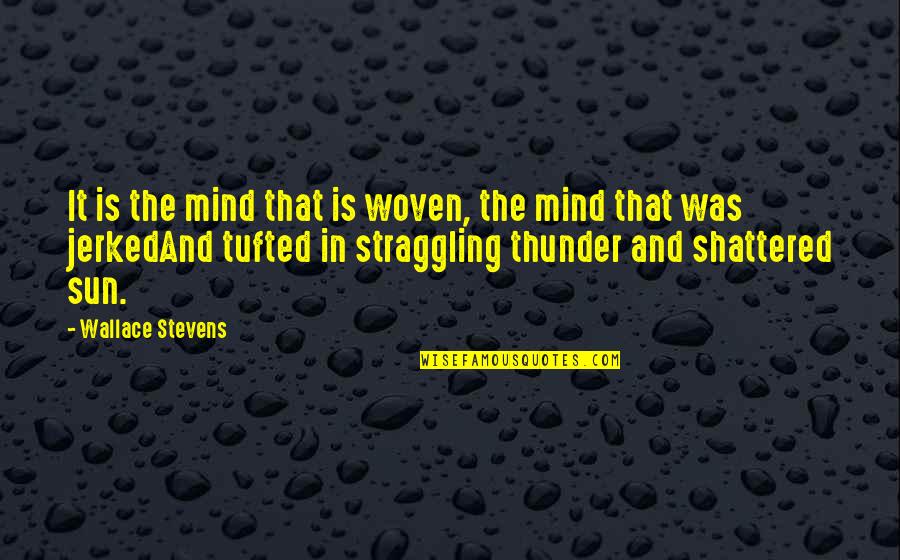 Citoyennet Quotes By Wallace Stevens: It is the mind that is woven, the