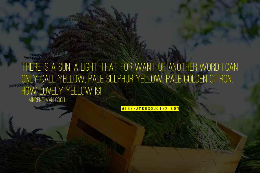 Citron Quotes By Vincent Van Gogh: There is a sun, a light that for