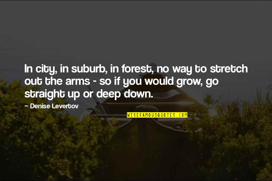 City Growth Quotes By Denise Levertov: In city, in suburb, in forest, no way