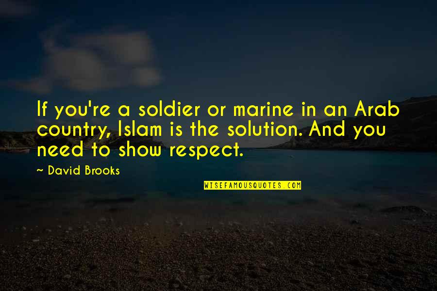 City Hunter Quotes By David Brooks: If you're a soldier or marine in an