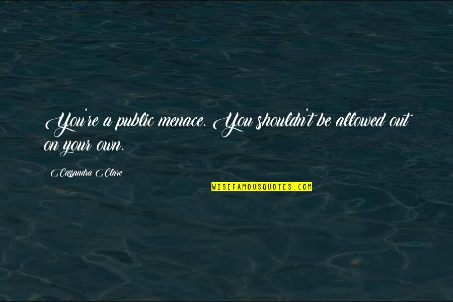 City Of Angels Quotes By Cassandra Clare: You're a public menace. You shouldn't be allowed