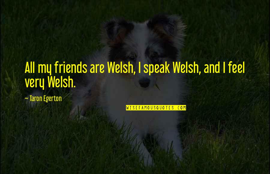 City Of Lost Souls Quotes By Taron Egerton: All my friends are Welsh, I speak Welsh,