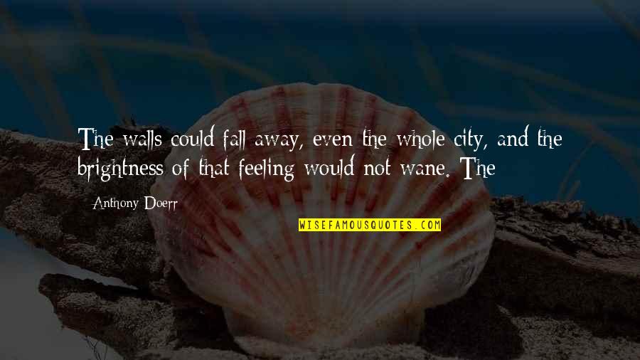 City Walls Quotes By Anthony Doerr: The walls could fall away, even the whole