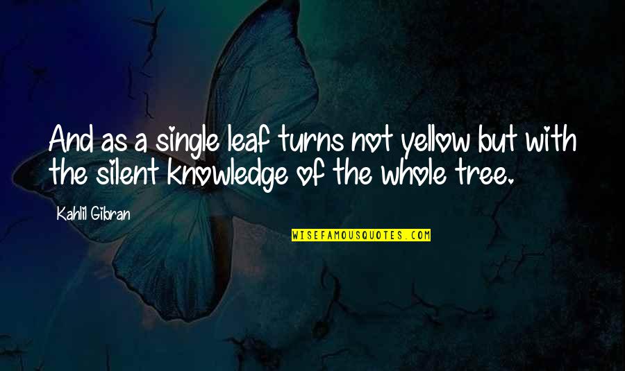 Citywide Quotes By Kahlil Gibran: And as a single leaf turns not yellow